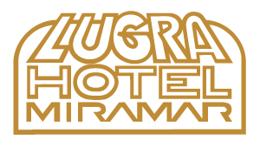 Cliente de servicios IT Lugra
